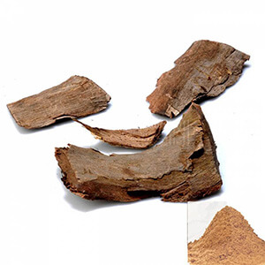 Arasam pattai / Sacred Fig Bark Powder