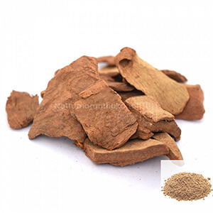 Aththi Pattai / Fig Bark Powder
