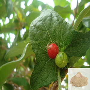 Musumusukai / Madras Pea Pumpkin / Rough Bryony Powder