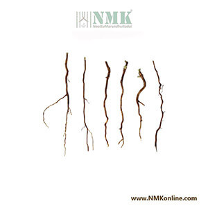 Keezhanelli Ver / Country Gooseberry Root Dried (Raw)