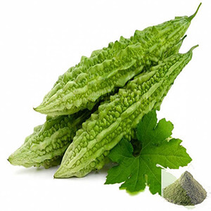 Pagarkaai / Bitter Gourd Powder