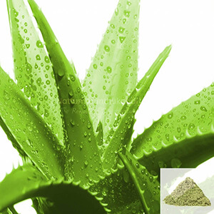 Sothu Katralai  Powder/ Aloevera Powder