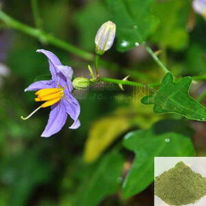 Thoothuvalai Powder / Thai Nightshade Powder