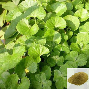 Vallarai Powder / Brahmi Leaves Powder