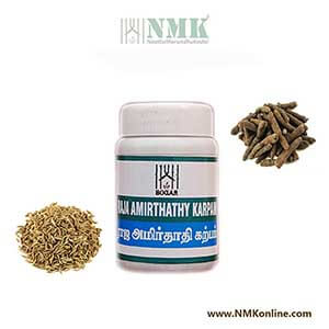 Raja Amirthathy Karpam