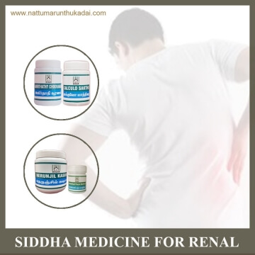 Shidha Package for Renal Diseases