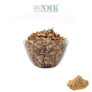 Magizham Poo / Spanish cherry Flower Powder